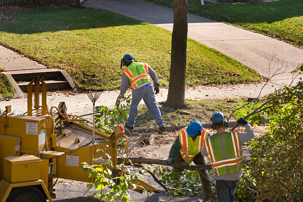 Best Lawn Irrigation Installation and Maintenance  in Southport, NC